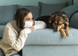 Estudio revela cómo la pandemia del COVID-19 también cambió el comportamiento de los perros