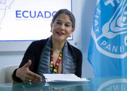 Eve Crowley, representante de la Organización de las Naciones Unidas para la Alimentación y la Agricultura (FAO) en Ecuador, habla sobre la importancia de combatir la desnutrición infantil en el país.