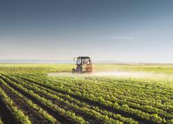 Ecuador se encuentra en un momento clave para avanzar hacia un desarrollo competitivo y sostenible de su agroindustrias. (foto referencial)