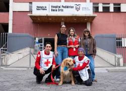 El impacto de los canes en la salud: perros de asistencia médica promueven el bienestar emocional en hospitales