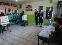 La misión de observación electoral de la Unión Europea está en Ecuador desde finales de diciembre.