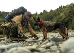 Brad Pitt protagoniza 'El Corazón de la Bestia', una historia de supervivencia junto a su perro de combate