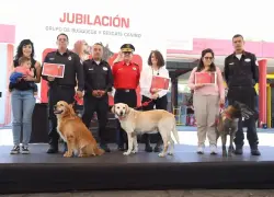 Cuerpo de Bomberos de Quito jubila a tres perros especialistas en búsqueda y rescate urbano