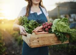 En el país hay 1.518 productos registrados como orgánicos.