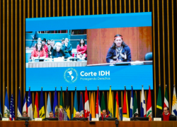 Audiencias en la Corte IDH por caso Tagaeri Taromenane de Ecuador.