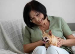 Mujer en China deja 2.3 millones de dólares como herencia para sus mascotas