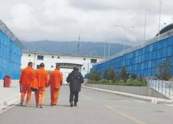 Cobo ha reconocido que sobre todo en la cárcel de Cotopaxi, ha existido una carencia de inteligencia penitenciaria.