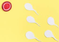 La cantidad de espermatozoides en los hombres ha caído casi un 60% desde 1973.