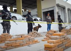 Miembros de unidades especializadas de la Policía Nacional junto a una incautación de bloques de cocaína.