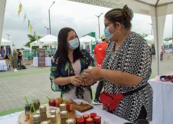 De acuerdo al estudio GEM, 8 de cada 10 emprendimientos en Ecuador fracasan en su etapa inicial.