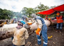 Ecuador sufre millonaria pérdida por suspensión de bombeo de crudo tras erosión