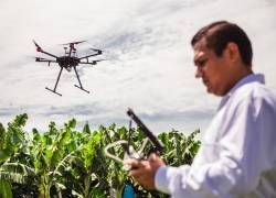 Como parte del portafolio de productos y servicios de Precisagro en el Ecuador consta AgritecGEO, una herramienta tecnológica de agricultura digital.