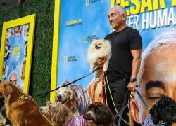 César Millán, posa con varios perros en el lanzamiento de su serie llamada: César Millán: Mejores humanos, mejores perros”.