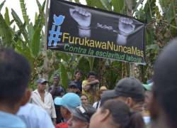 Exobreros acusan a Furukawa, considerada la principal productora de abacá en Ecuador, de violar derechos humanos y obligar a trabajar en condiciones infrahumanas