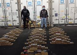El cargamento contaminado con bloques de cocaína fue detectado por un perro antidrogas.