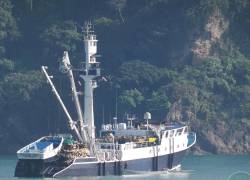 La flota atunera ecuatoriana es líder en la captura del recurso en el Océano Pacífico Oriental.