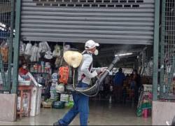 Desinfectarán y fumigarán los sectores más concurridos de la ciudad.