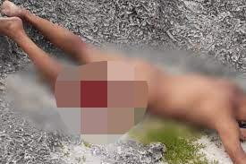 $!Turista italiano muere atacado por un tiburón en Colombia