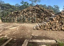 El operativo se realizó en el sector de Tipishca, a dos horas de Nueva Loja.