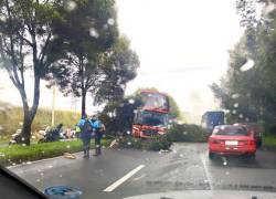 El bus interprovincial se chocó contra el parterre de la vía en la avenida Simón Bolívar.