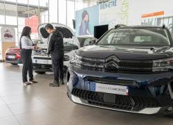La venta de vehículos nuevos en el país se ha afincado en diferentes orígenes, principalmente los de China y la Unión Europea.