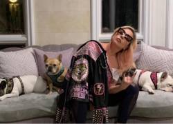 Secuestradores de los perros de Lady Gaga demandan a la artista por no pagar el rescate