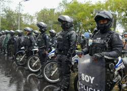Fotografía que muestra a decenas de policías organizados en la Av. de los Shyris, en el centro norte de Quito.