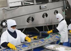 Fotografía que muestra a empleados del sector camaronero.