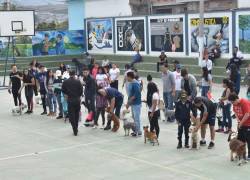 Curso de adiestramiento básico, cuidado, manejo y tenencia responsable de canes dirigido a la ciudadanía.