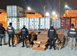 Fotografía de las solapas de cartón en las que era transportada oculta la droga.