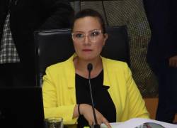 Fotografía de archivo de la asambleísta electa del correísmo, Priscila Schettini.