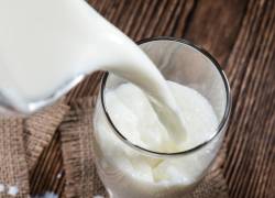 SRI aclara qué tipo de leche y pan pagan 15% de IVA