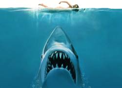 Jaws. Foto: Wikimedia