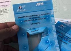 Fotografía de una de las miles especies valoradas halladas en un inmueble de Durán.