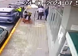Momento en el que el uniformado se acerca al perro que rondaba por la zona y aparentemente le rocía una sustancia en los ojos.