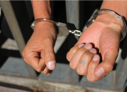 Un perito concluyó que Luis Alonso C. Q. tiene características de un “violador furioso”.