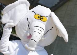 Fotografía del personaje Elefantico, que obtuvo un curul en el Senado de Colombia este lunes.