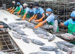 Ecuador impulsa la pesca sostenible en el marco del ODS 14