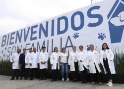 El objetivo de esta iniciativa es crear conciencia sobre los animales abandonados en calles de México.