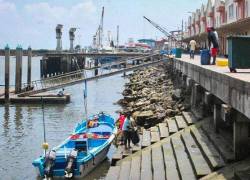 18 personas implicadas por peculado en la Autoridad Portuaria de Esmeraldas: serían parte de una red de corrupción