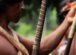 Ecuador no logra conciliación en caso de muertes de indígenas en aislamiento