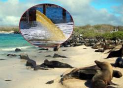 Aguas residuales fueron vertidas en Galápagos; informe de Contraloría involucra a autoridades municipales
