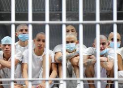 Los reclusos permanecen en una celda durante la visita del presidente electo de Chile, José Antonio Kast (fuera de plano), al megacentro penitenciario Centro de Confinamiento Antiterrorista (CECOT).