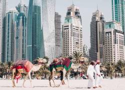 Acuerdo permitirá que ciudadanos ecuatorianos accedan a empleo formal en territorio emiratí.