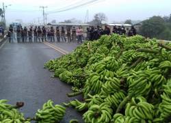 Los bananeros iban a tener una reunión con el Gobierno Nacional, pero la renuncia del ministro de Agricultura la postergó.