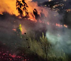 Incendio forestal en el sector Sorialoma, oriente de Quito.