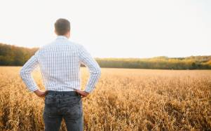 Imagen referencial de un hombre mirando un campo.