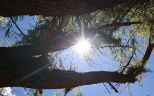 El clima en Ecuador este lunes 24 de agosto: lluvias en varias provincias y sol intenso en la Sierra