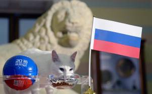 ¿Sabías que un gato sordo fue el 'oráculo' del Mundial de 2018?
