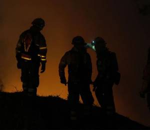 Incendios forestales en Ecuador aumentan a 13: Pichincha concentra la mayoría de emergencias